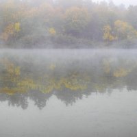 Туман 5 :: Игорь Протасов