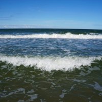 ~~~~~   ~~~   ~~~~~ :: Алёна Савина