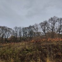 волна :: Артём 