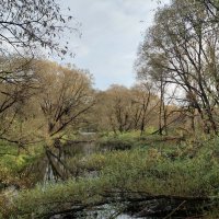 речушка :: Артём 