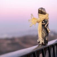 Страж :: Марина Фомина.