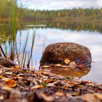 Ламбушка :: Ольга Cоломатина