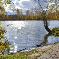 Усадьба. Осень. :: tatiana 