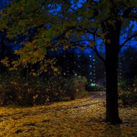 Осенний Вечер в Городе :: юрий поляков