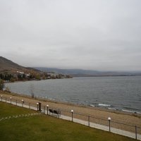 На озере :: redfox 