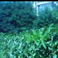 114 (36) :: CLOSE WAYS ALL