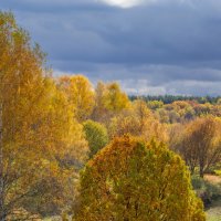 Палитра октября... :: Владимир Жданов