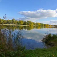 Куда ни глянь – осенних красок буйство,. Кругом опавших листьев аромат... :: Галина 