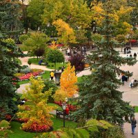 осень :: Игорь Kуленко