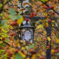 Фонарь среди ягод :: Мария Яковлева