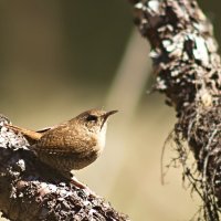 3977 :: Alex . 3977 :: Alex .