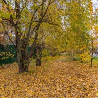 Осенний городской пейзаж :: Валерий Иванович