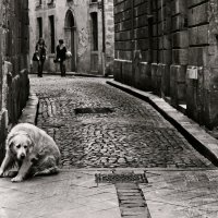 Взгляд в средевековье :: СЮ 