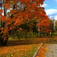 Чебоксары. Осенняя аллея сквера им. Чапаева. :: Пётр Чернега