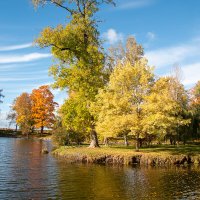 *** :: Геннадий Порохов