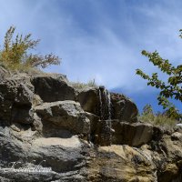 Природа Крыма :: Amazing Cosmea