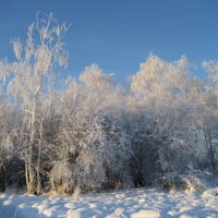 Зима :: Anna Ivanova