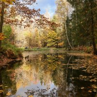 Шуваловский парк :: skijumper Иванов