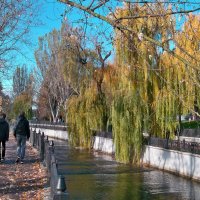 Осень  на  набережной  Салгира :: Валентин Семчишин