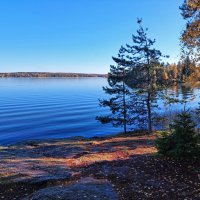 Монрепо. Бухта Защитная :: Ирина Румянцева