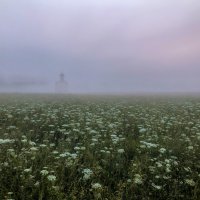 На лугу у Покрова :: Александр Ковальчук