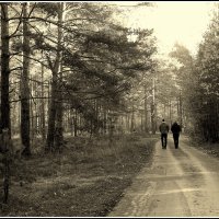 *** :: Aleksandr Gal