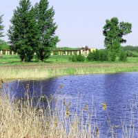 У ОЗЕРА :: раиса Орловская