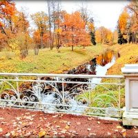 Осень золотая в парках ЦС ... :: Сергей 