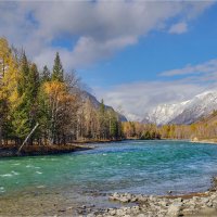 **** :: Алексей Мезенцев