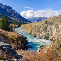 **** :: Алексей Мезенцев