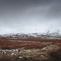 * :: Александр Иванов