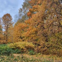 Осень :: Наталья Лакомова