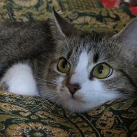 Машуленька. :: Александр Лад