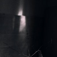 Черно-белый натюрморт :: Валентина 