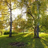 *** :: Лариса С.