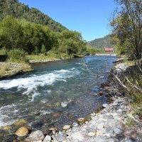 По р.Чемал :: Валерий Медведев