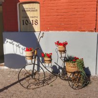 *** :: Irene Irene *** :: Irene Irene