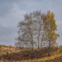 Под небом октября... :: Владимир Жданов Под небом октября... :: Владимир Жданов
