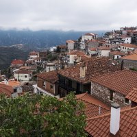 ** :: Александр Липовецкий