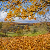 Октябрь в Царицыно... :: Владимир Жданов