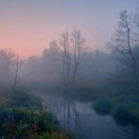 Травы приболотные ... :: Roman Lunin