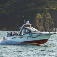 ... :: Жора Житников ... :: Жора Житников