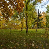 Осенний парк :: Nina Streapan