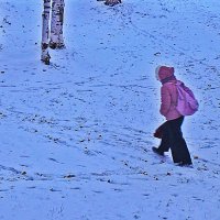 Октябрь...По первому снегу в школу! :: Владимир 