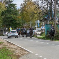 Конные прогулки :: Игорь Сикорский