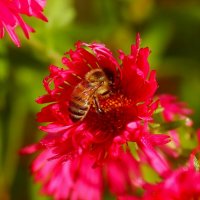 Доброе утро :: Юрий. Шмаков Доброе утро :: Юрий. Шмаков