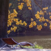 Встреча осени. Осенние зарисовки. :: Michel 