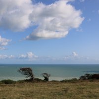 Осень на побережье :: Ольга 