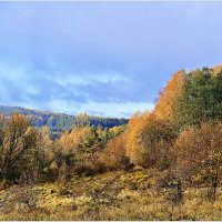 Роминтенская пуща. :: Валерия Комова