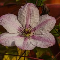 В октябре. :: Петр Беляков В октябре. :: Петр Беляков